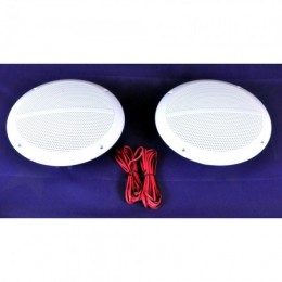 Пара акустических динамиков...