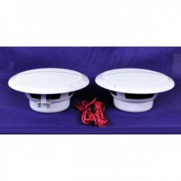 Пара акустических динамиков... 2