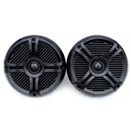 Пара акустических динамиков...