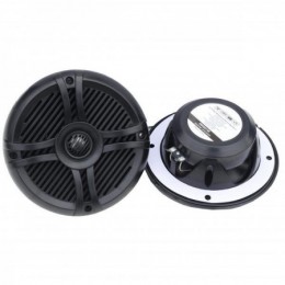 Пара акустических динамиков... 2