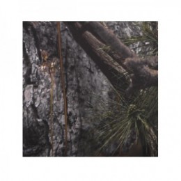 Ткань Камуфляж-81